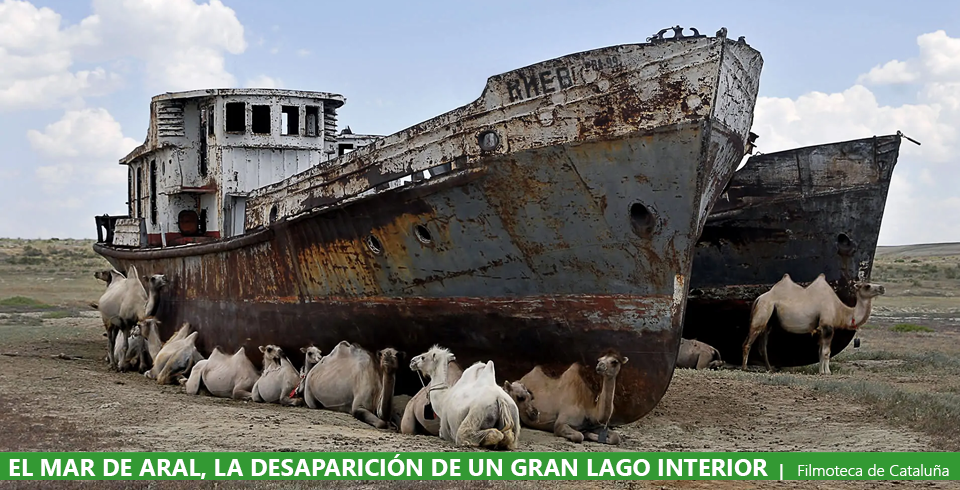 Mar de Aral, la historia de un desastre ecolgico