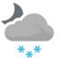 Schneeschauer
