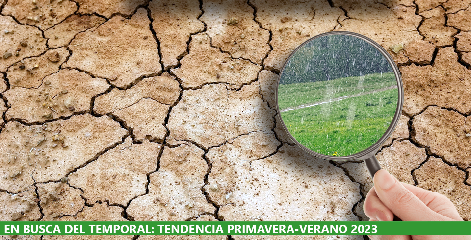 En busca del temporal En busca del temporal