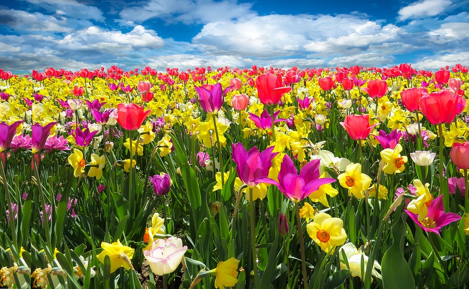 Qu nos deparar el mes de mayo? Despidiendo la primavera climatolgica