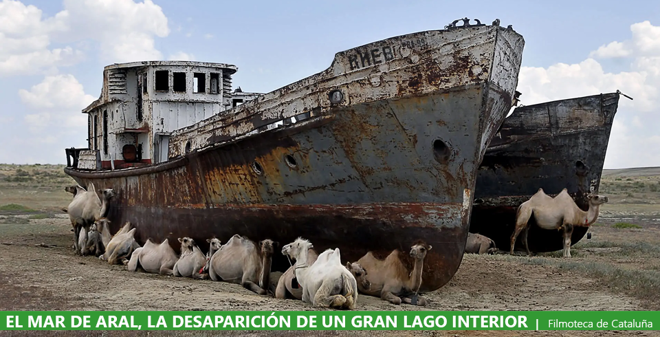 Mar de Aral, la historia de un desastre ecológico Mar de Aral, la historia de un desastre ecológico
