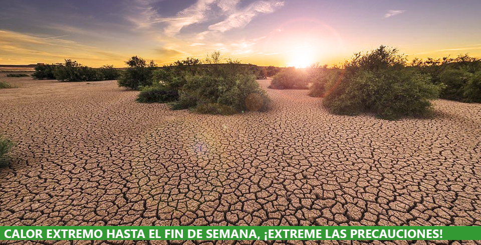 Ola de calor extremo Ola de calor extremo