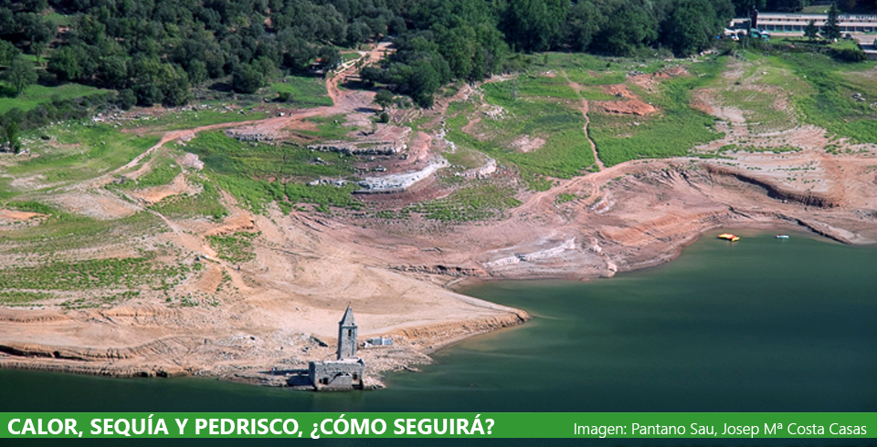 Análisis de un verano \ Análisis de un verano \